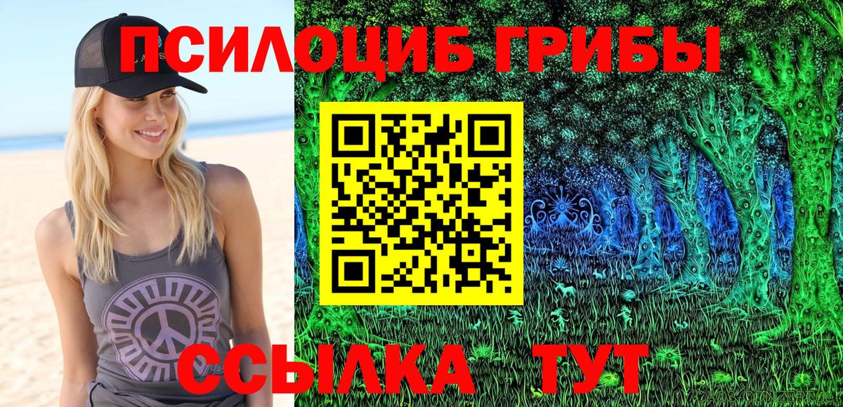 Можайск  Псилоцибиновые грибы мухоморы  Вход с VPN 